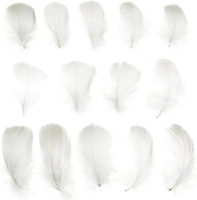 Lamar Feather 300pcs Grey Feathers 2-3 Inches Bulk Feathers for Crafting, Dream Catcher Accessories, Art Projects, DIY Crafting, Handi Crafts, Party Decoration (Light Grey) - Image 2